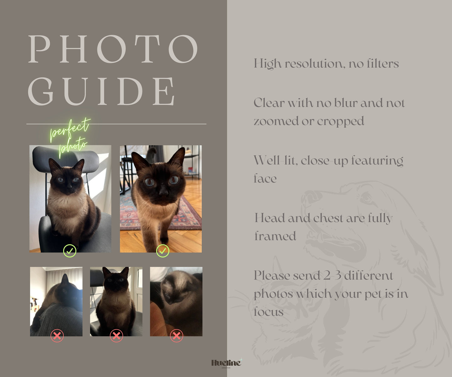 Custom Witch Pet Portrait: Gothic Halloween Pet Gift, Digital, Canvas or Poster