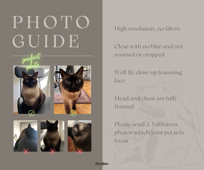 Custom Witch Pet Portrait: Gothic Halloween Pet Gift, Digital, Canvas or Poster