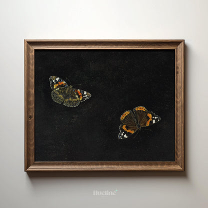 Vintage Butterfly Wall Art – Dark Background Insect Painting, Antique Nature Artwork Print L1116