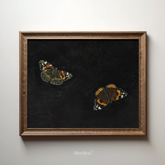 Vintage Butterfly Wall Art – Dark Background Insect Painting, Antique Nature Artwork Print L1116