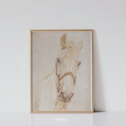 Vintage White Horse Painting | Classic Equestrian Wall Art Print L1125