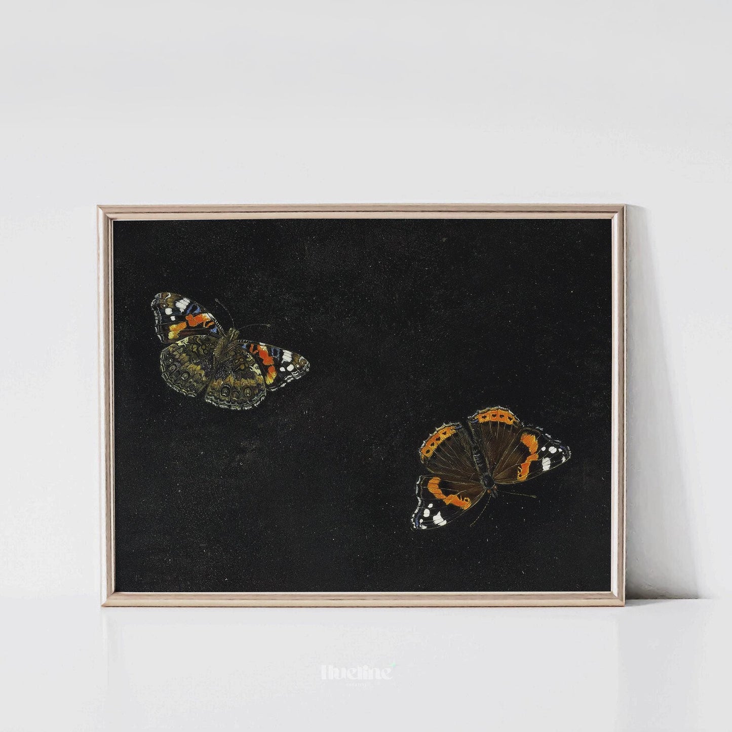 Vintage Butterfly Wall Art – Dark Background Insect Painting, Antique Nature Artwork Print L1116