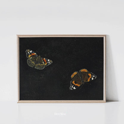 Vintage Butterfly Wall Art – Dark Background Insect Painting, Antique Nature Artwork Print L1116