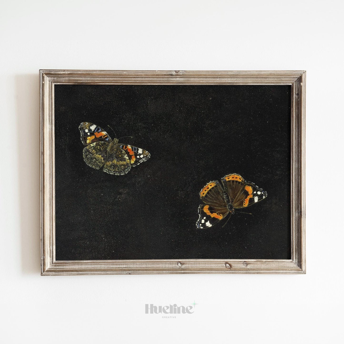 Vintage Butterfly Wall Art – Dark Background Insect Painting, Antique Nature Artwork Print L1116