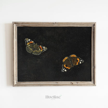 Vintage Butterfly Wall Art – Dark Background Insect Painting, Antique Nature Artwork Print L1116