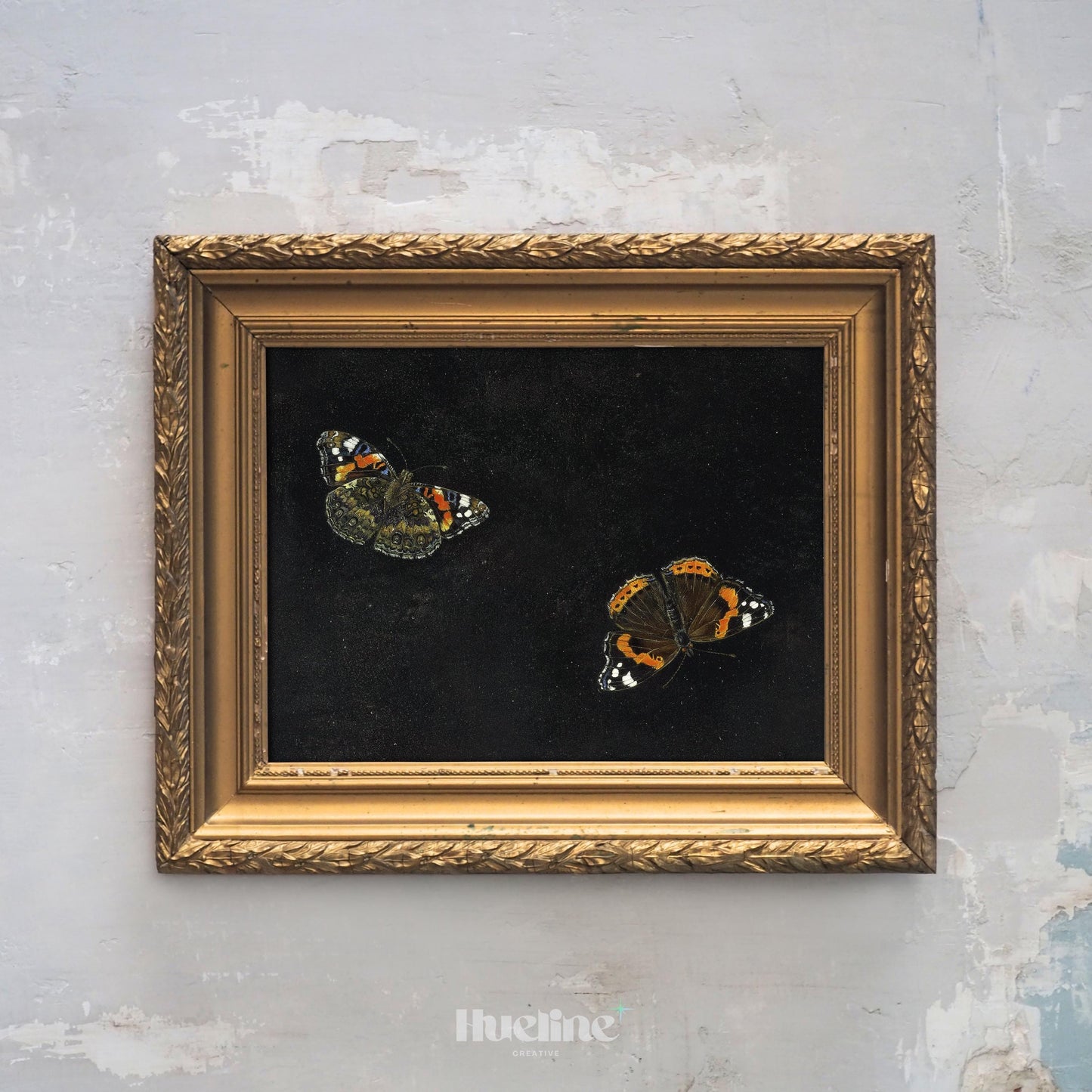 Vintage Butterfly Wall Art – Dark Background Insect Painting, Antique Nature Artwork Print L1116