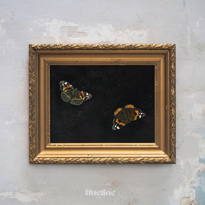 Vintage Butterfly Wall Art – Dark Background Insect Painting, Antique Nature Artwork Print L1116