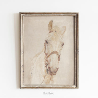 Vintage White Horse Painting | Classic Equestrian Wall Art Print L1125
