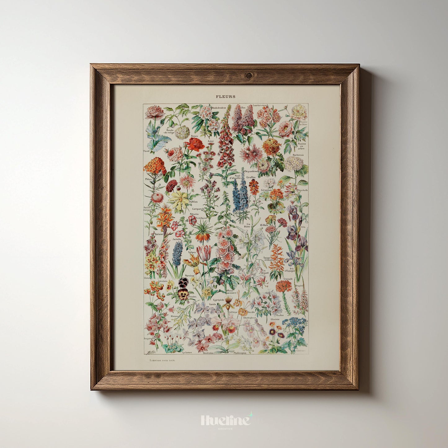 Vintage Botanical Flower Chart Print – Antique Floral Wall Art Poster - L1132