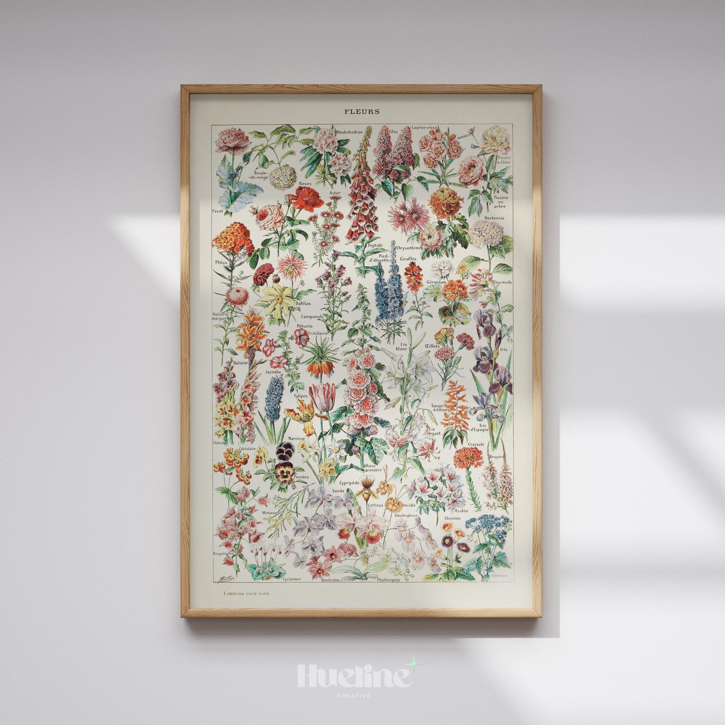 Vintage Botanical Flower Chart Print – Antique Floral Wall Art Poster - L1132