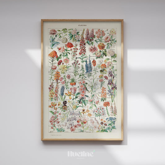 Vintage Botanical Flower Chart Print – Antique Floral Wall Art Poster - L1132