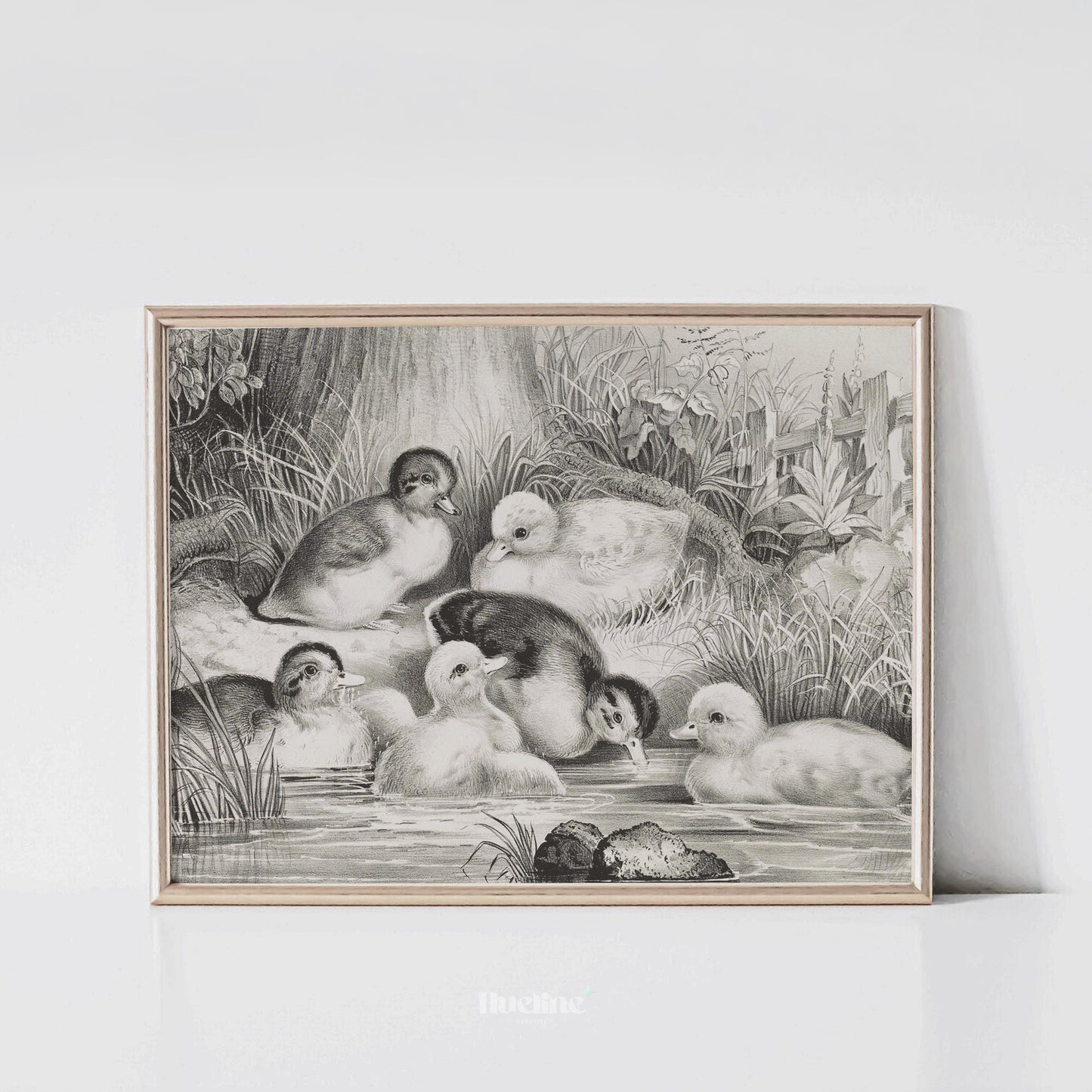 Vintage Ducklings Art Print – Charming Farm Pond Animal Illustration - L1150