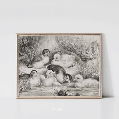 Vintage Ducklings Art Print – Charming Farm Pond Animal Illustration - L1150