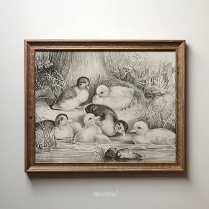 Vintage Ducklings Art Print – Charming Farm Pond Animal Illustration - L1150