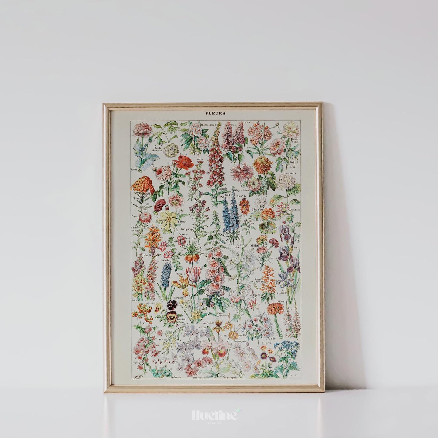 Vintage Botanical Flower Chart Print – Antique Floral Wall Art Poster - L1132