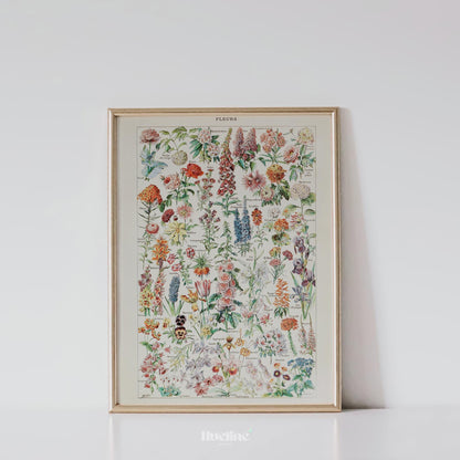 Vintage Botanical Flower Chart Print – Antique Floral Wall Art Poster - L1132