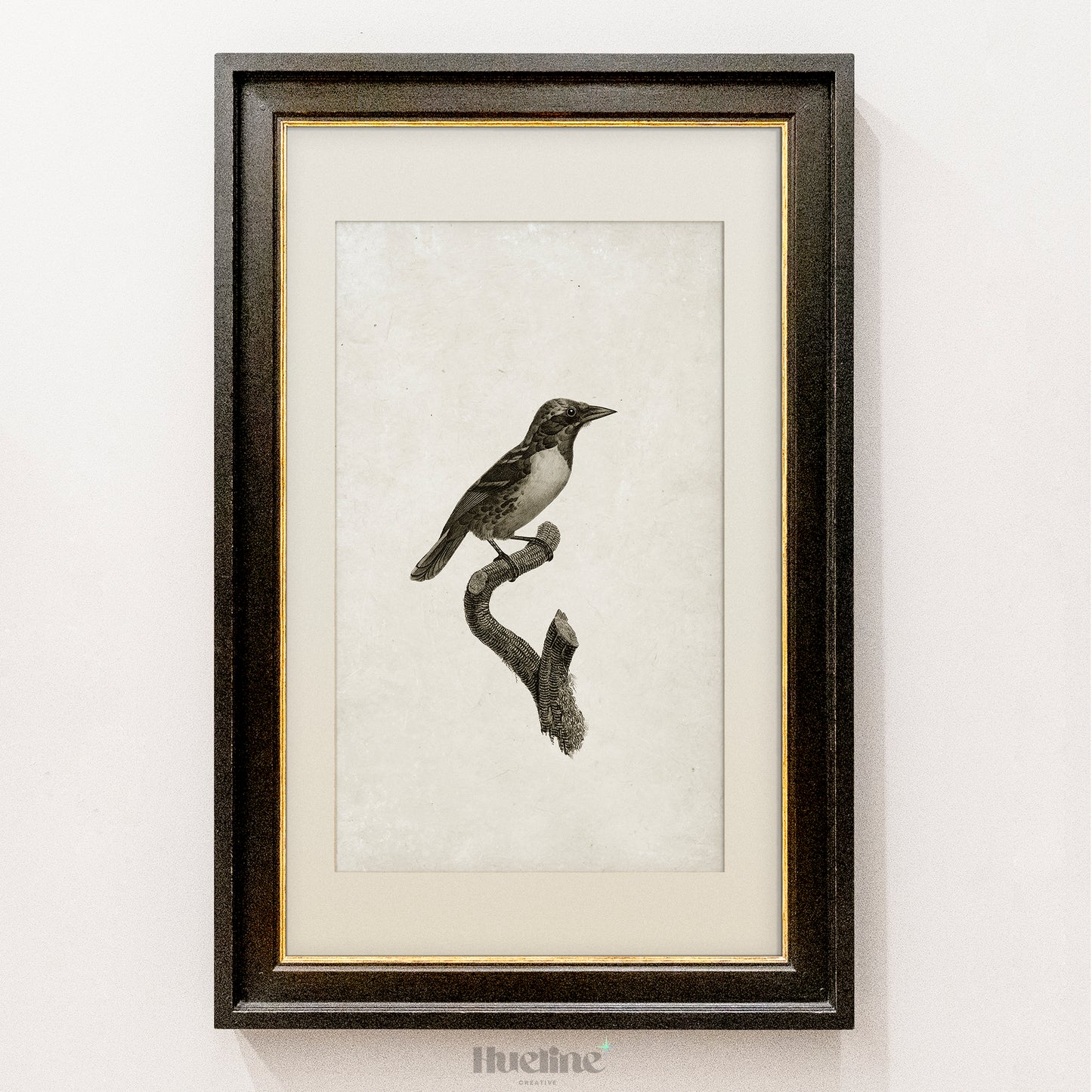 Vintage Bird Illustration Print | Black and White Nature Wall Art - L1112