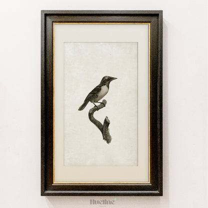 Vintage Bird Illustration Print | Black and White Nature Wall Art - L1112