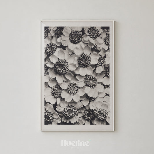 Vintage Black and White Daisy Photography, Monochrome Floral Wall Decor, Moody Flower Poster - L1253