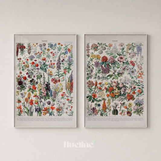 Vintage Flower Print Set, Botanical Wall Art Pair, Antique Floral Posters, Cottagecore Decor - L1272