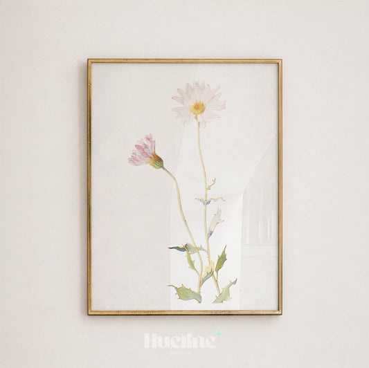 Vintage Botanical Floral Watercolor, Minimalist Wildflower Wall Decor, Pink Daisy Cottagecore Poster - L1238
