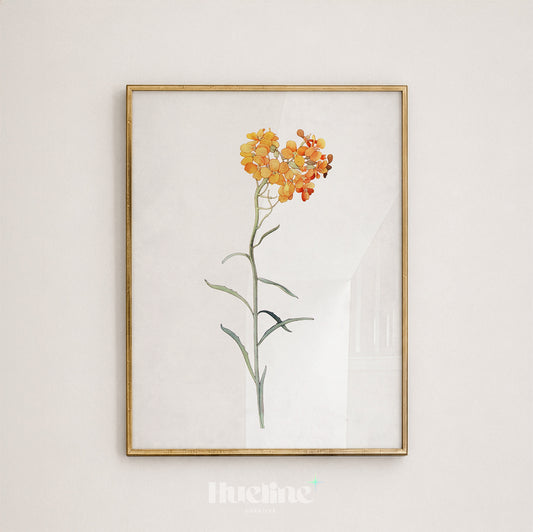 Vintage Botanical Yellow Wallflower Illustration, Antique Floral Wall Decor Minimalism Poster - L1241