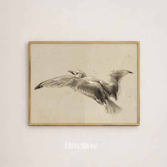 Vintage Bird Sketch Wall Art, Antique Seagull Drawing, Coastal Beach House Decor Print - L1230