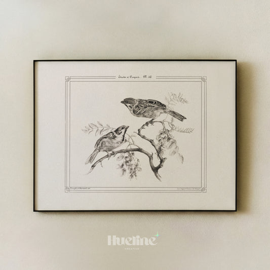 Vintage Bird Illustration Print, Antique Botanical Wall Art, French Nature Drawing, Cottagecore Decor - L1265