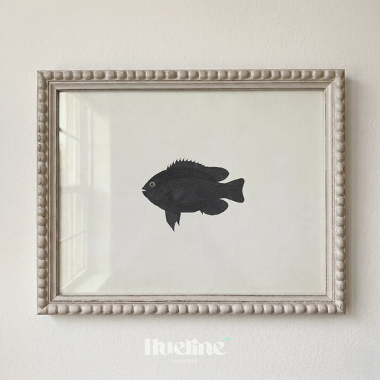 Vintage Black Fish Illustration, Minimalist Marine Life Wall Decor, Antique Coastal Poster - L1248