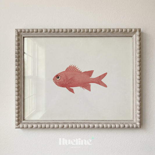 Vintage Red Fish Illustration, Minimalist Marine Life Wall Decor, Antique Squirrelfish Poster - L1250