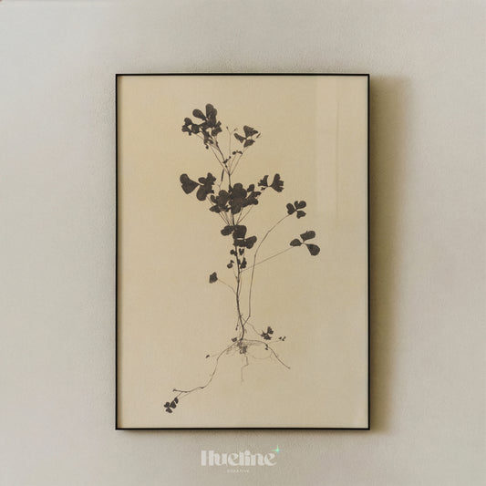 Vintage Botanical Silhouette, Minimalist Herbarium Print, Antique Clover Wall Art, Neutral Home Decor - L1206