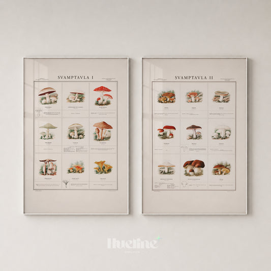 Vintage Mushroom Print Set, Botanical Wall Art Pair, Antique Fungi Posters, Cottagecore Decor - L1271