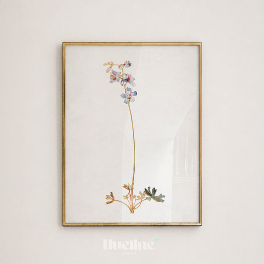 Vintage Larkspur Botanical Watercolor, Minimalist Purple Delphinium Wildflower Wall Decor, Antique Floral Poster - L1240