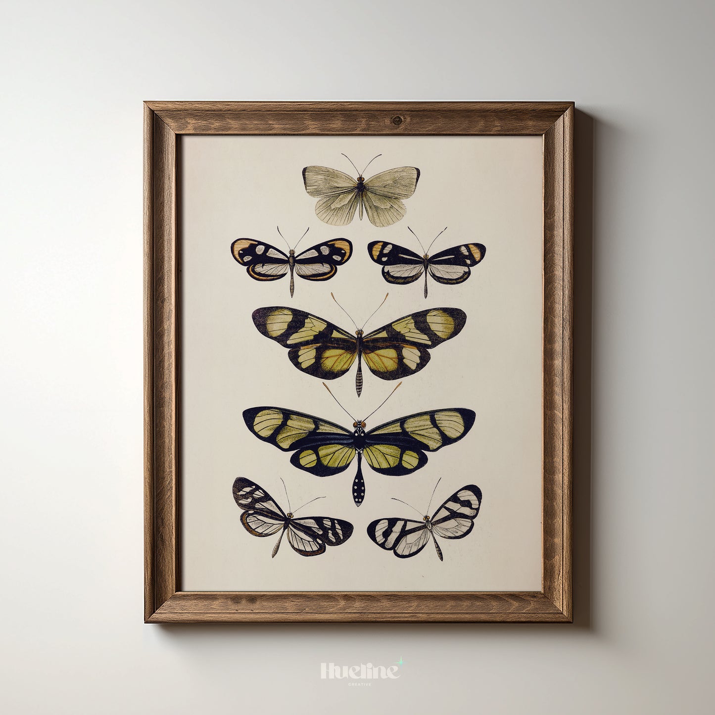 Vintage Butterfly Illustration Print, Antique Entomology Wall Art, Botanical Insect Poster - L1093