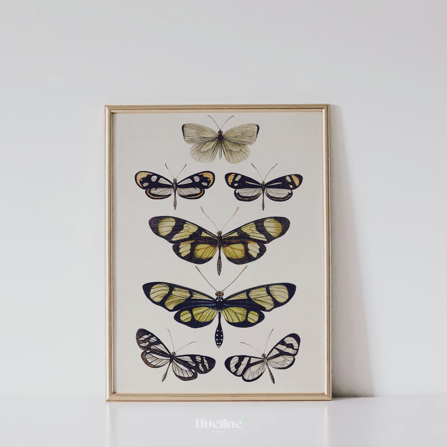 Vintage Butterfly Illustration Print, Antique Entomology Wall Art, Botanical Insect Poster - L1093