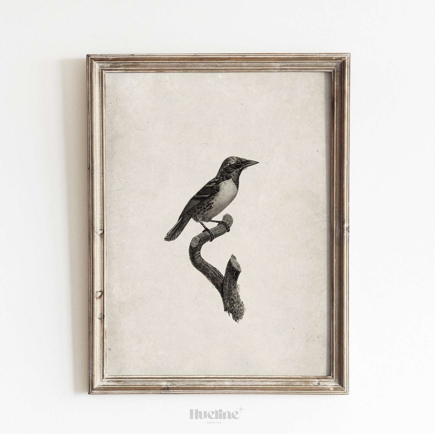 Vintage Bird Illustration Print | Black and White Nature Wall Art - L1112